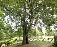 Un'immagine generica segnaposto con angoli arrotondati in una figura.